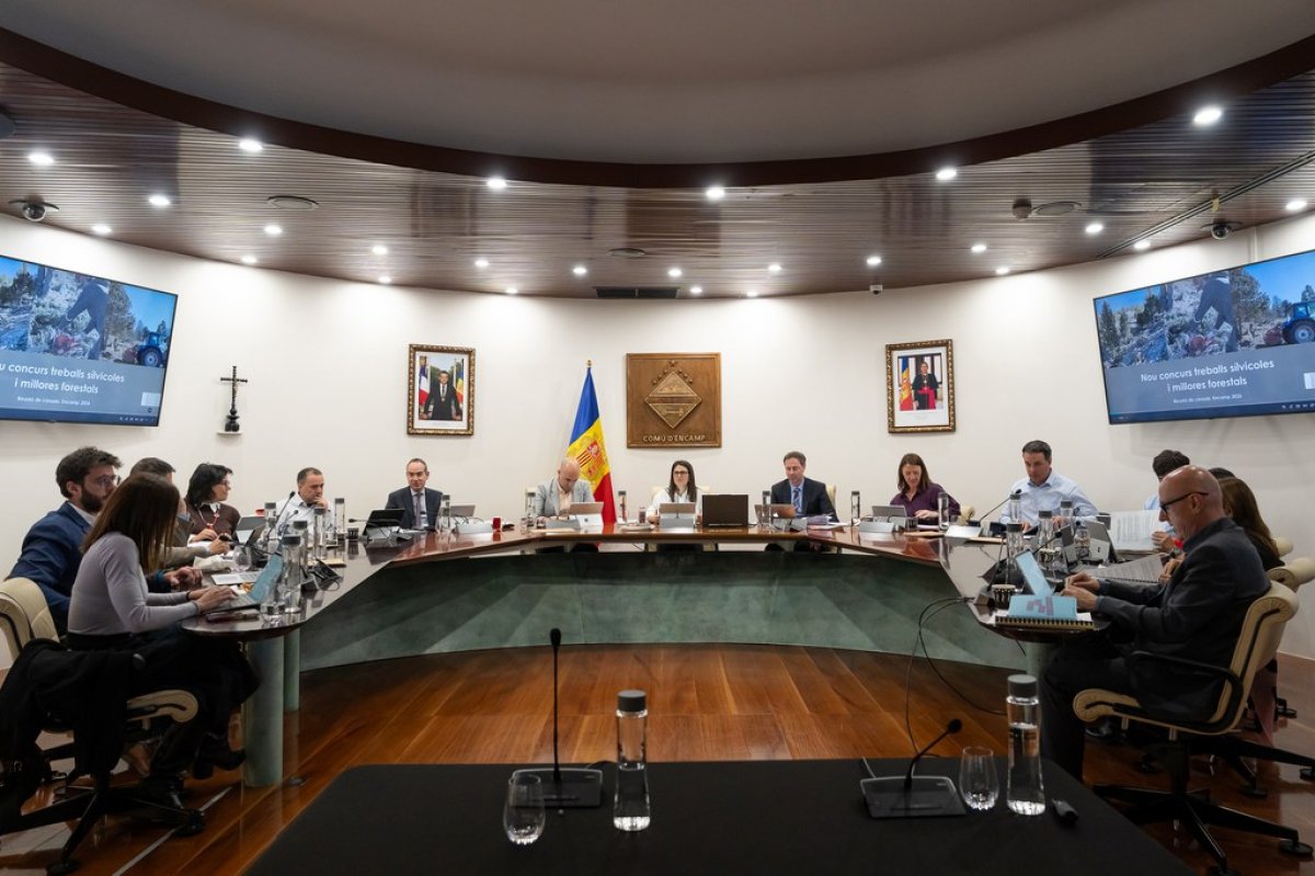 La Reunió de Cònsols dona llum verda al nou procediment unificat de comerç, que permetrà reduir a 15 dies els terminis simplificats d’obertura i modificació dels comerços