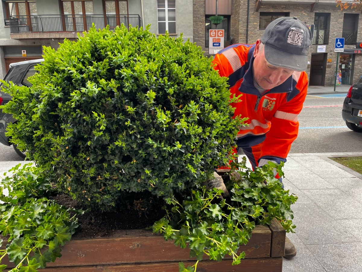La Massana enceta la campanya d'enjardinament de la parròquia