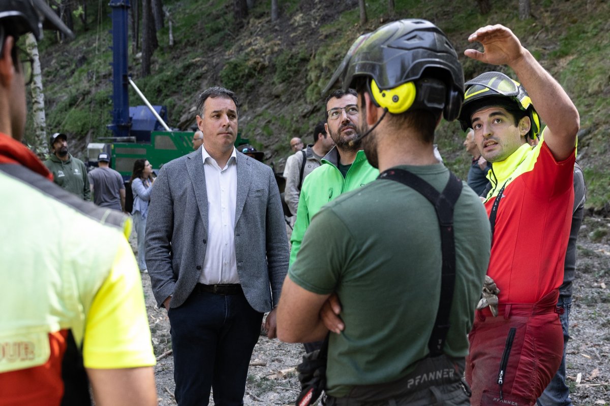 El Comú d’Ordino impulsa una prova pilot per millorar la gestió sostenible dels boscos amb un cable grua