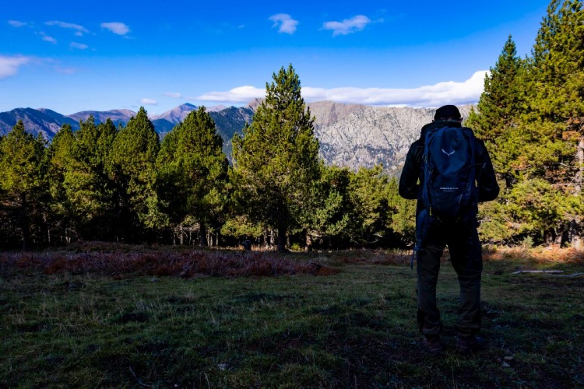 La segona fase del tallafoc al bosc de Solobre completarà més d’1,3 quilòmetres de recorregut