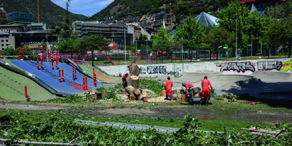 El Comú d’Escaldes-Engordany retira un arbre del Prat del Roure per motius de seguretat