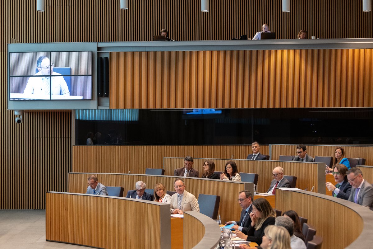 Els terminis del referèndum tornen a encallar el debat al Consell General entre retrets electorals