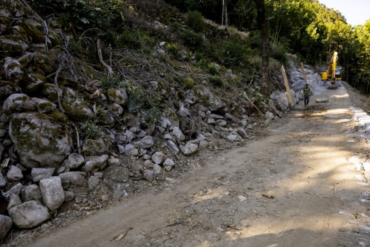 La segona fase del tallafoc al bosc de Solobre entra en fase de licitació