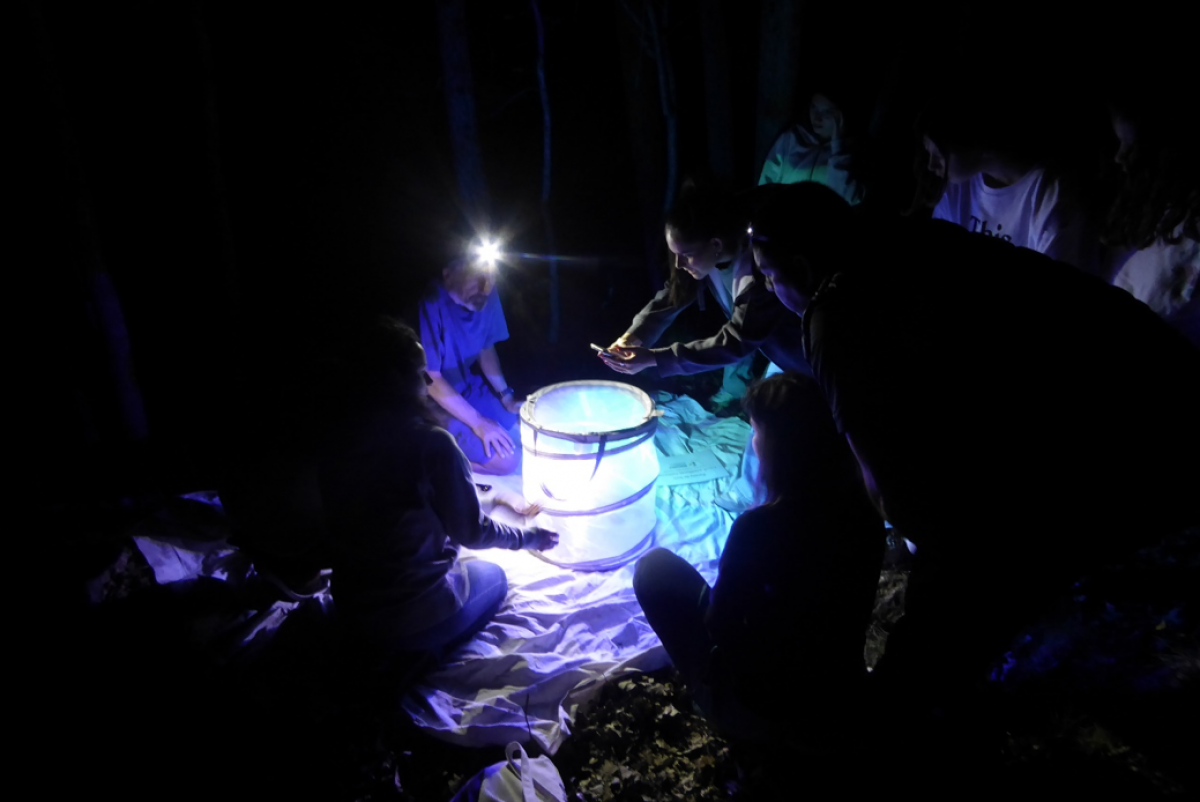 Una nit per a conèixer les papallones nocturnes a Andorra
