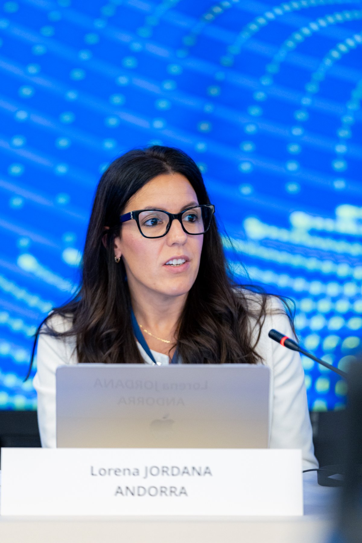 Andorra presenta els avenços en matèria de transparència i intercanvi d'informació fiscal davant el Fòrum Global de l'OCDE
